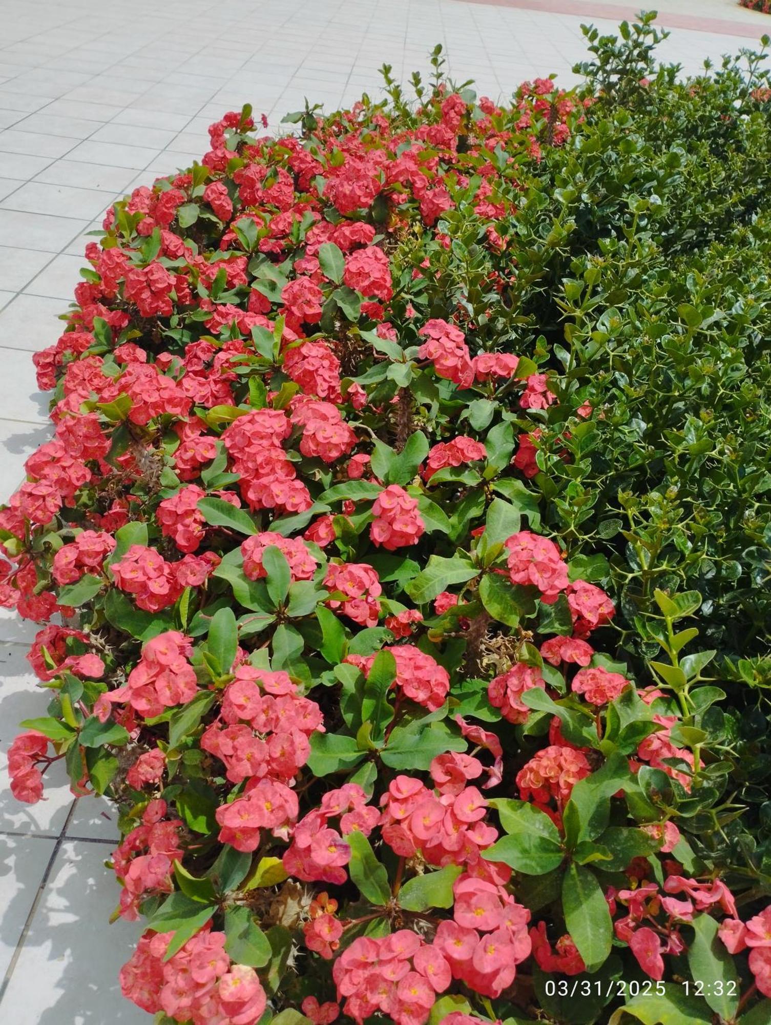 Oyster Bay Resort And Spa 마사 알람 외부 사진